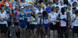Index: Half Marathon Info
