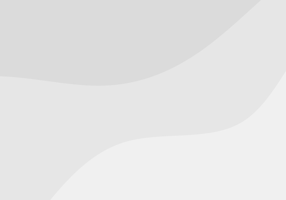 Visionary Homes Logo